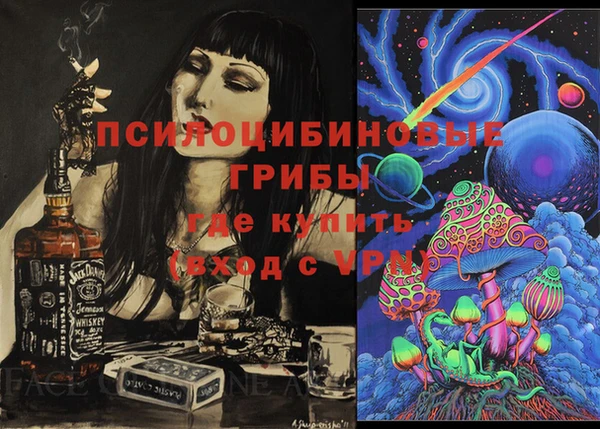 шишки Лагань