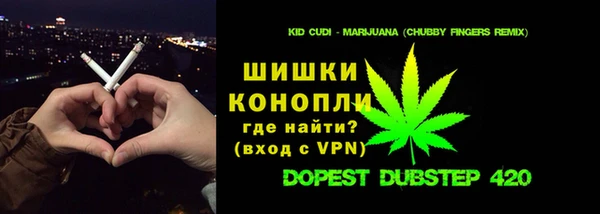 крисы Верхний Тагил
