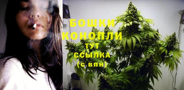 марки lsd Бородино
