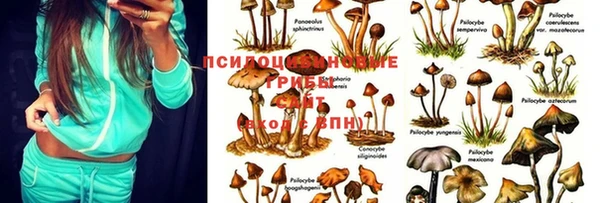 марки lsd Бородино