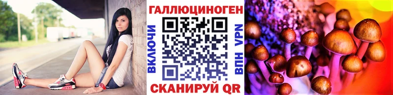 Галлюциногенные грибы GOLDEN TEACHER  Купить закладки  Новая Ляля 
